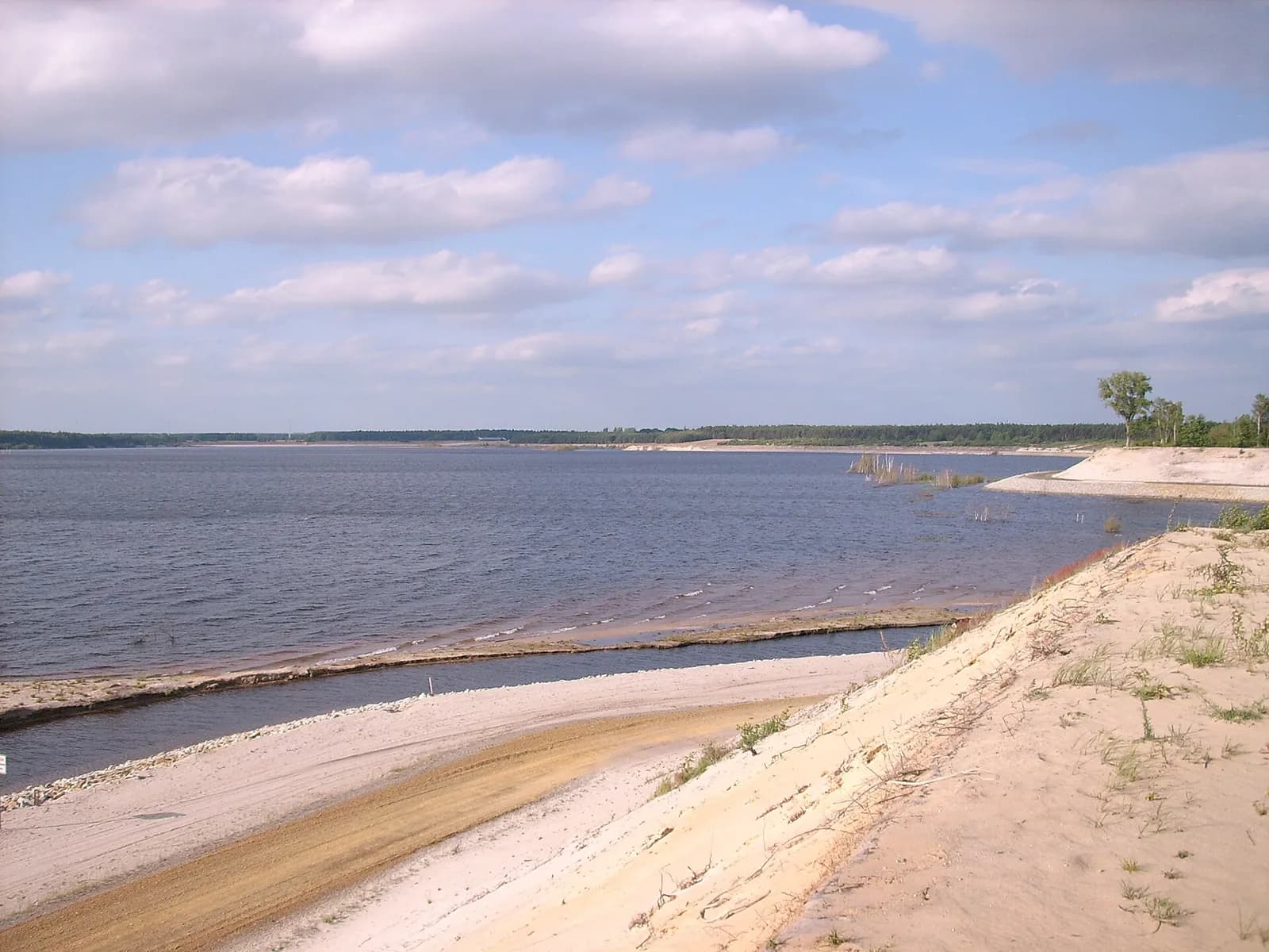 Ufer des Geierswalder Sees – Foto: SeptemberWoman, CC BY-SA 3.0